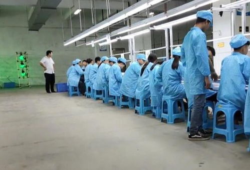 少年之殤 技術推廣下的工廠實習安全警示